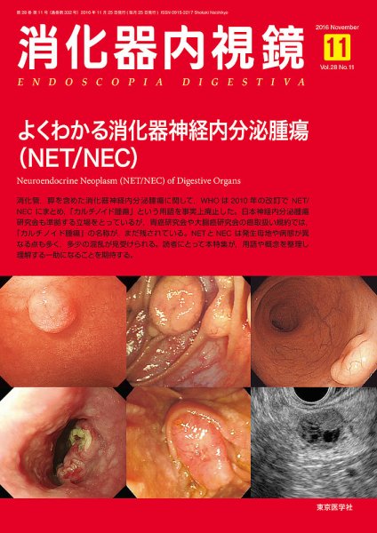消化器内視鏡 16年11月号 (発売日2016年11月25日) 表紙