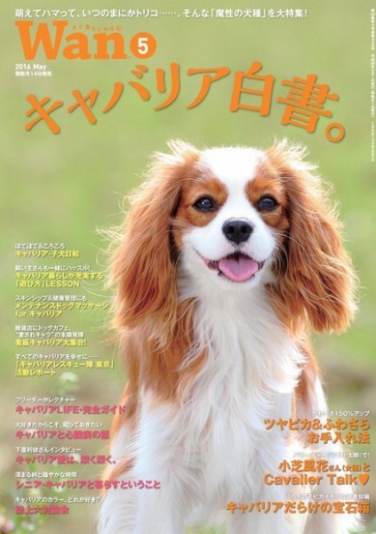 wan（わん） 2016年5月号 (発売日2016年04月14日) 表紙