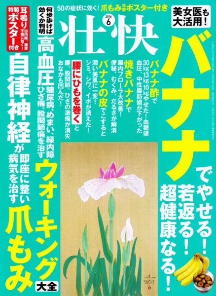 壮快 2016年6月号 (発売日2016年04月16日) 表紙