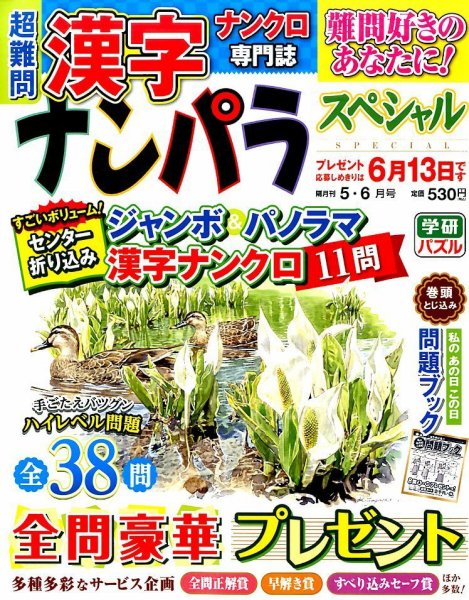 ナンパラSpecial 2016年5月号 (発売日2016年04月14日) 表紙