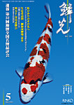 鱗光 の表紙