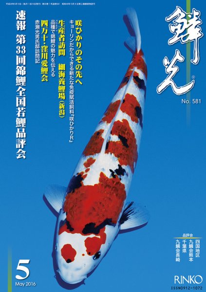 鱗光 2016年04月15日発売号 表紙