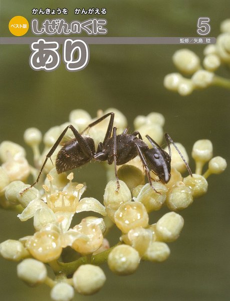 しぜんのくに 5月号 (発売日2016年04月20日) 表紙