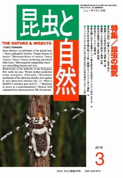 昆虫と自然 2016年3月号 (発売日2016年02月20日) 表紙