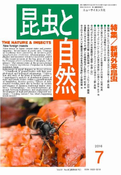昆虫と自然 2016年7月号 (発売日2016年06月20日) 表紙