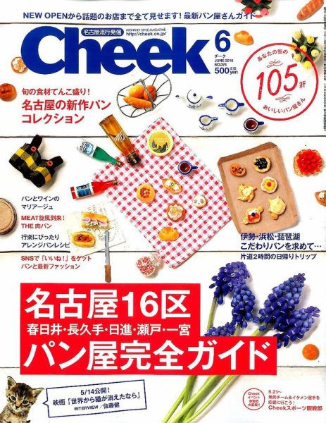 CHEEK（チーク） 2016年6月号 (発売日2016年04月23日) 表紙