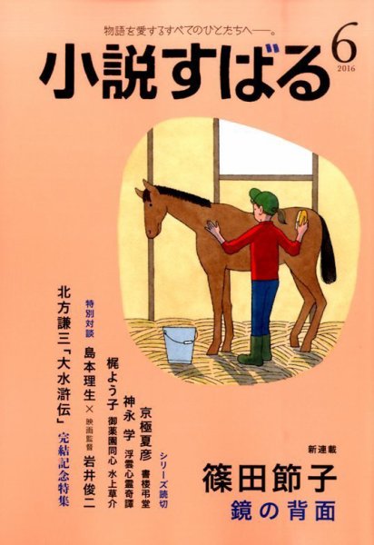 小説すばる 2016年6月号 (発売日2016年05月17日) 表紙