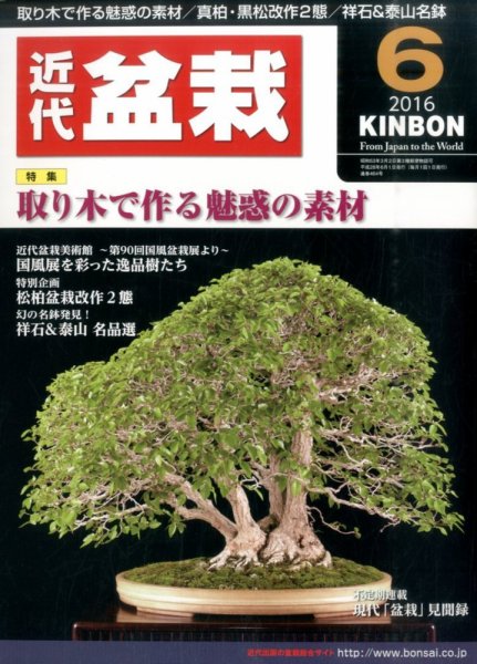 月刊 近代盆栽 2016年6月号 (発売日2016年05月02日) 表紙