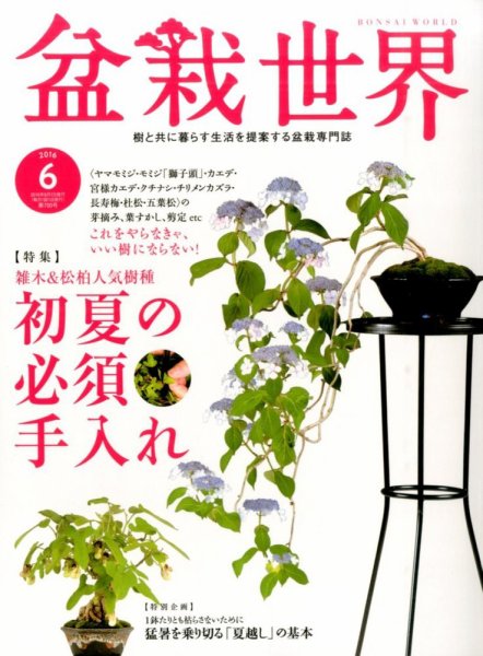 盆栽世界 2016年6月号 (発売日2016年05月02日) 表紙
