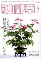 趣味の山野草 2017年01月号 趣味の山野草のバックナンバー (3ページ目 45件表示) | 雑誌