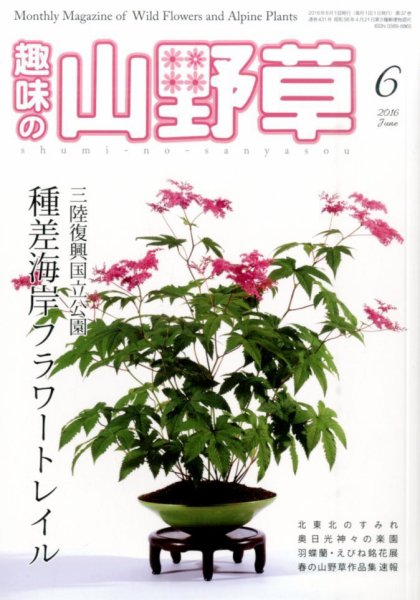 趣味の山野草 2016年6月号 (発売日2016年05月12日) 表紙