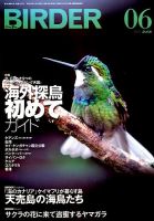 BIRDER（バーダー） 2016年6月号 表紙