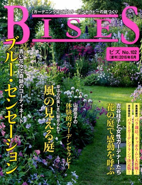 BISES（ビズ） 2016年6月号 (発売日2016年05月16日) 表紙