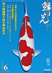 鱗光 の表紙