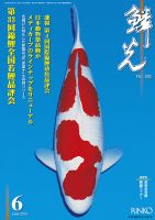 鱗光 2016年05月15日発売号 表紙