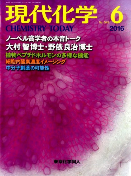 現代化学 2016年6月号 (発売日2016年05月19日) 表紙