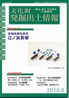 文化財発掘出土情報 6月号 表紙