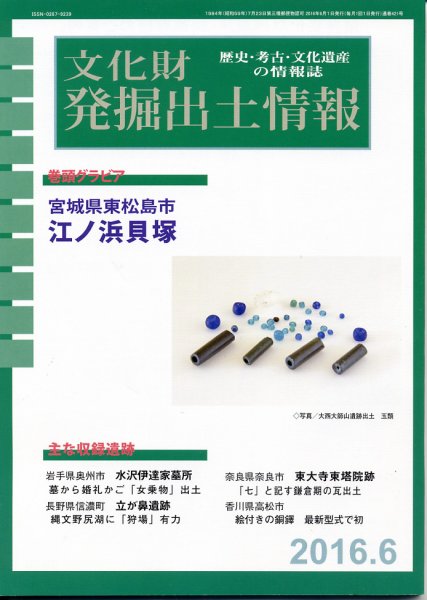 文化財発掘出土情報 6月号 (発売日2016年06月01日) 表紙