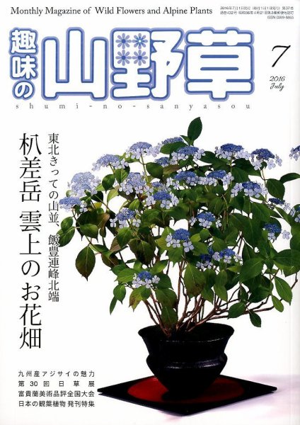 趣味の山野草 2016年7月号 (発売日2016年06月11日) 表紙