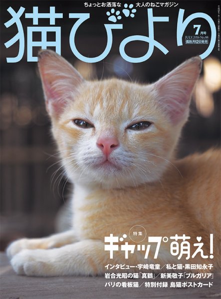 猫びより 88号 (発売日2016年06月11日) 表紙