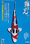 鱗光 の表紙
