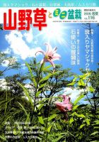 山野草とミニ盆栽 2016年7月号 (発売日2016年06月11日) 表紙