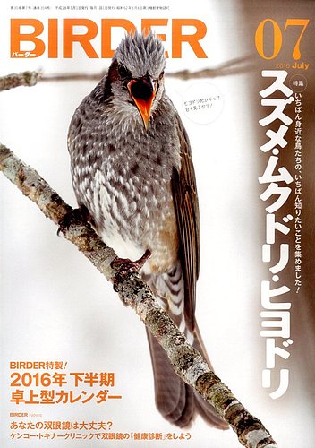 BIRDER（バーダー） 2016年7月号 (発売日2016年06月16日)