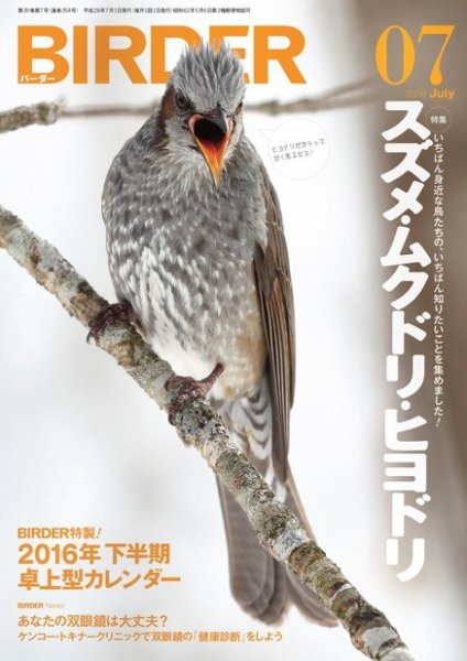 BIRDER（バーダー） 2016年7月号 (発売日2016年06月16日) 表紙