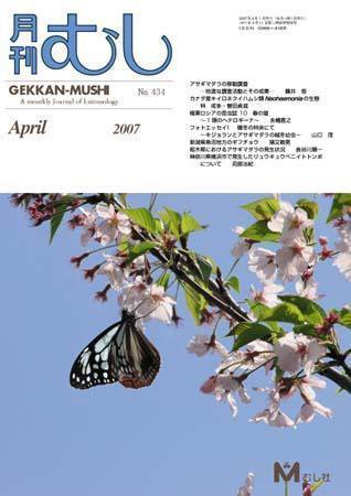 月刊むし 434 (発売日2007年03月20日) 表紙