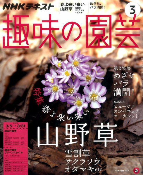 NHK 趣味の園芸 2017年3月号 (発売日2017年02月21日) 表紙