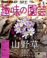 NHK 趣味の園芸 2017年3月号 表紙