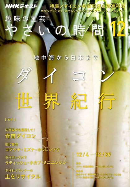NHK 趣味の園芸 やさいの時間 2016年12月号 (発売日2016年11月21日) 表紙