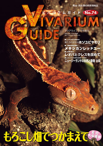 ビバリウムガイド まとめ売り 単品購入要相談‼︎ - 雑誌