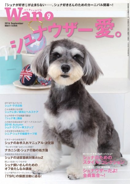 wan（わん） 2016年9月号 (発売日2016年08月12日) 表紙