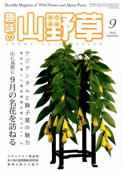 趣味の山野草 2016年9月号 (発売日2016年08月12日) 表紙