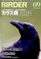 BIRDER（バーダー） 2016年9月号 表紙
