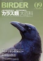 BIRDER（バーダー）のバックナンバー (4ページ目 30件表示) | 雑誌