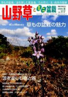 山野草とミニ盆栽 2016年9月号 (発売日2016年08月12日) 表紙