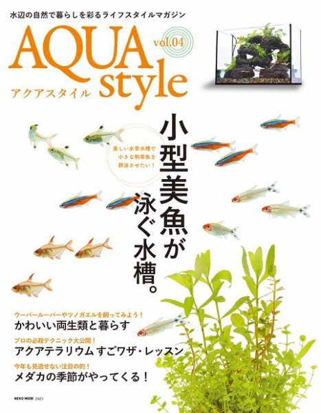 Aqua Style（アクアスタイル） Vol.4 (発売日2016年03月02日) 表紙