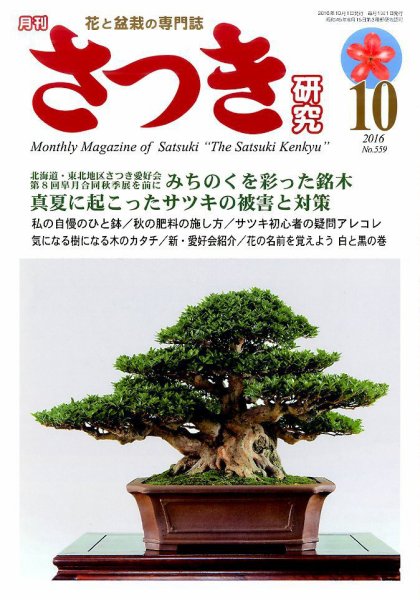 さつき研究 2016年10月号 (発売日2016年09月05日) 表紙