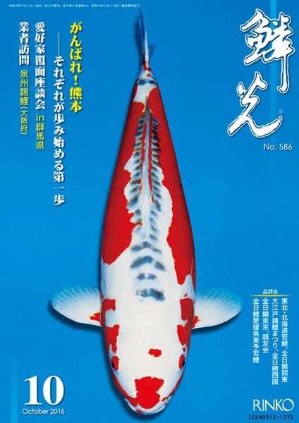 鱗光 2016年09月15日発売号 表紙