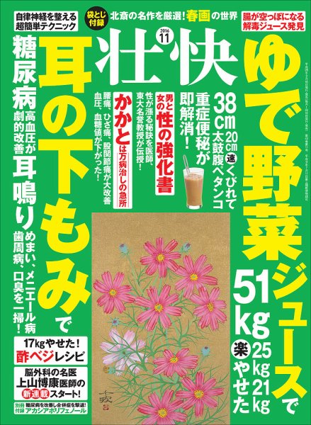 壮快 2016年11月号 (発売日2016年09月16日) 表紙