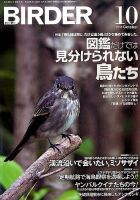 BIRDER（バーダー） 2016年10月号 表紙