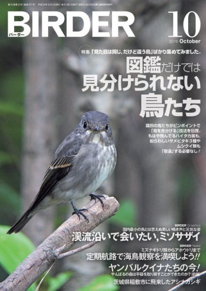 BIRDER（バーダー） 2016年10月号 (発売日2016年09月16日) 表紙