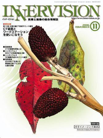 INNERVISION（インナービジョン） 2006年11月号 (発売日2006年11月01日) 表紙