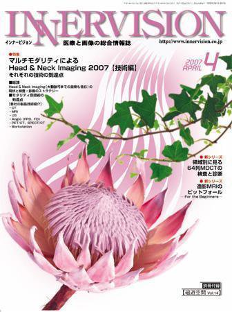 INNERVISION（インナービジョン） 2007年4月号 (発売日2007年04月01日) 表紙