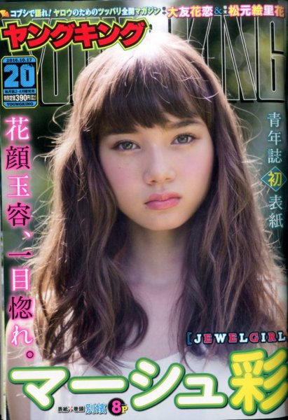 ヤングキング 2016年10/17号 (発売日2016年09月26日) 表紙