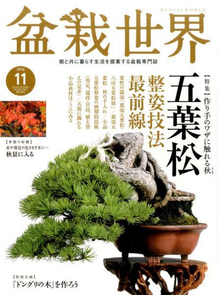 盆栽世界 2016年11月号 (発売日2016年10月04日) 表紙