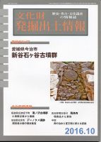 文化財発掘出土情報 10月号 表紙