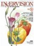 INNERVISION（インナービジョン） 5月号 (発売日2006年05月01日) 表紙